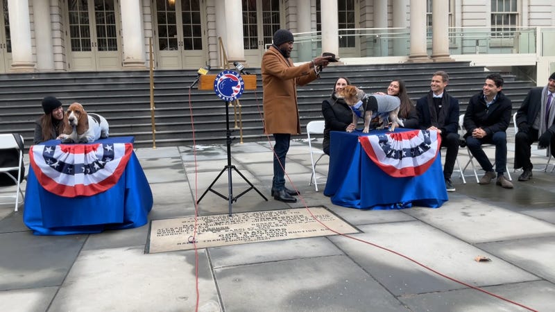 Simon was officially sworn in as New York City’s second honorary dog mayor on Jan. 26, 2025.