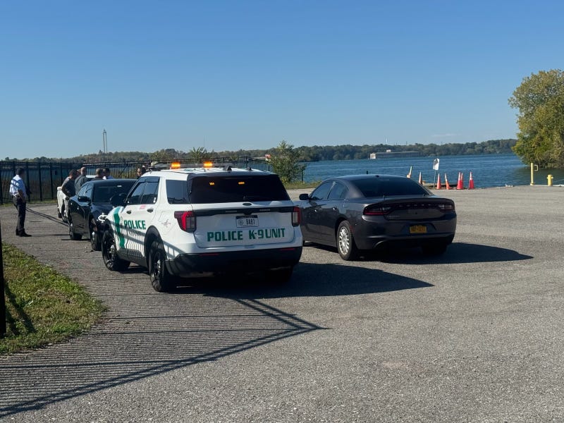 State police investigating after Jeep drives into Niagara River 