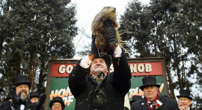 B101 To-Do List: Groundhog guesses, greenhouse getaways, and more for Jan. 31 to Feb. 2