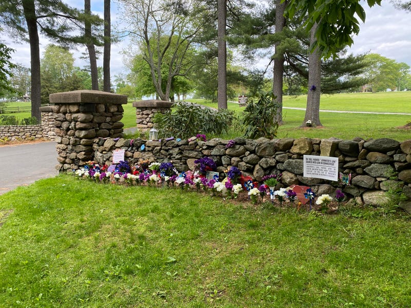 Jennifer Dulos memorial