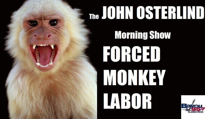 monkey labor