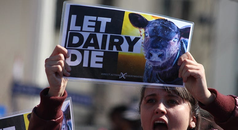 Let Dairy Die protesters at the Joe Biden rally in St. Louis Missouri