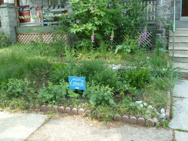 A rain garden on display, made possible by the Rain Check program.
