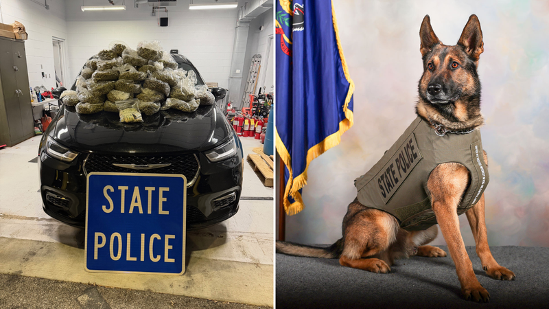 K-9 sniffs out 40 pounds of marijuana during Delco traffic stop