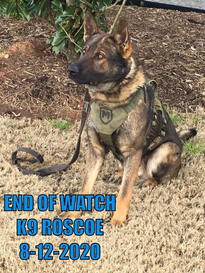 K9 Roscoe - ACSO