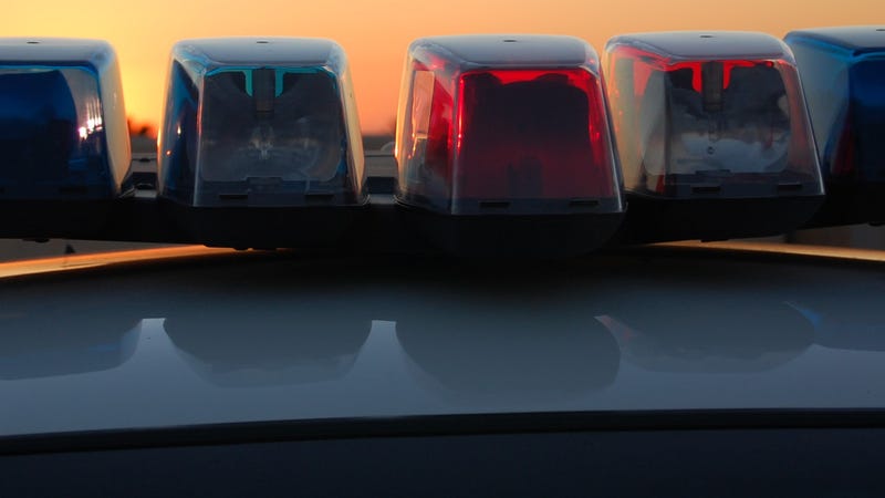 Police lights - stock photo