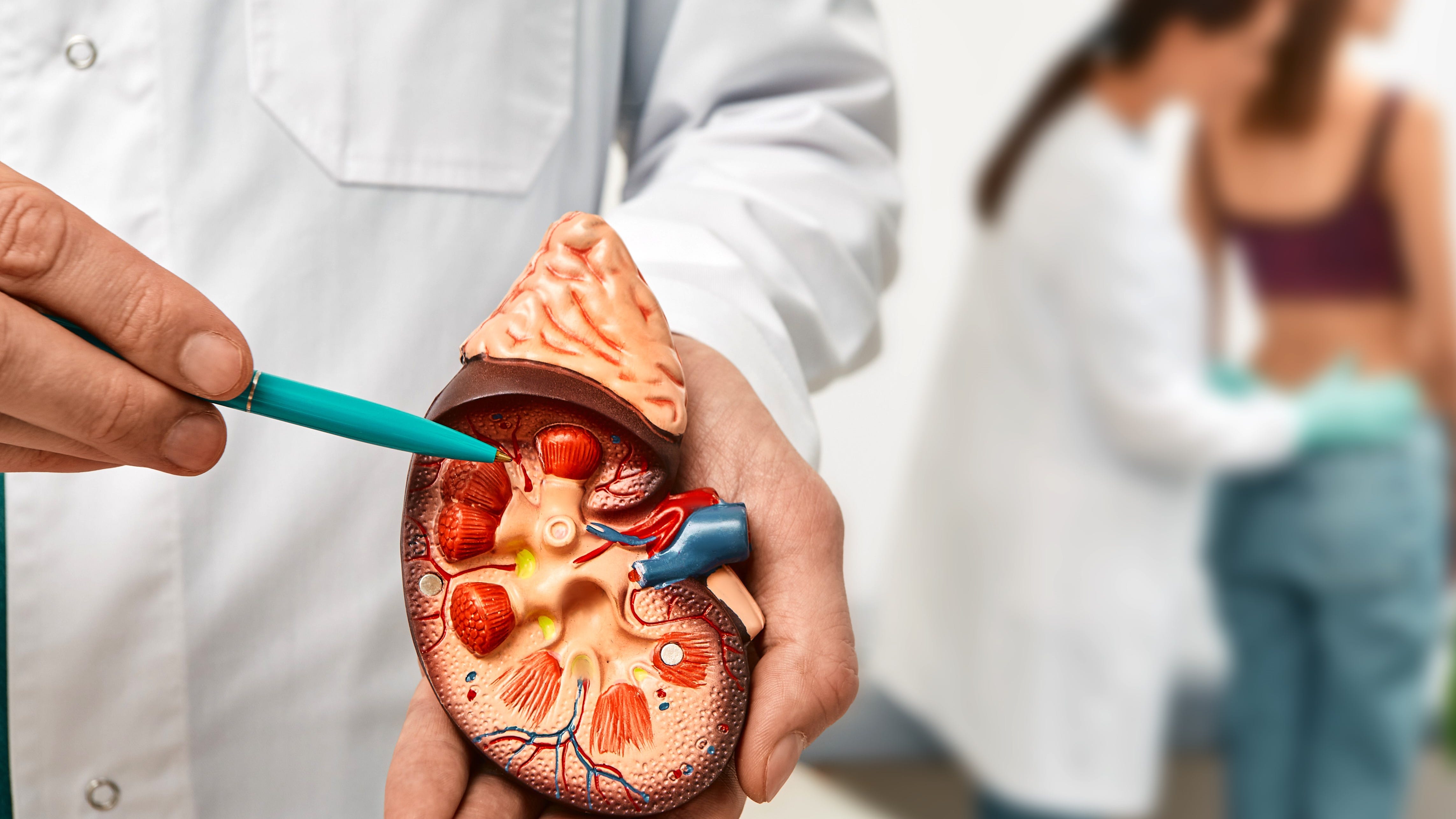 Ex-girlfriend helps Illinois man find a kidney donor through 'paired exchange' program