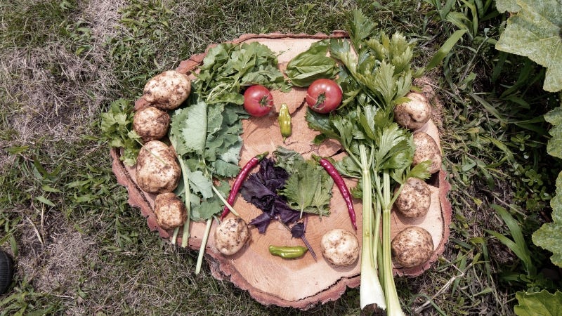 7 tips for an eco-friendly Halloween!