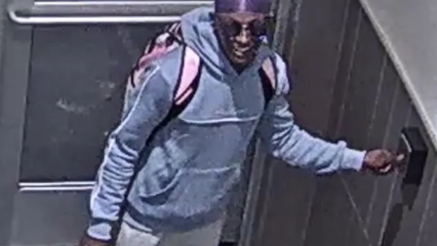 VIDEO: Thief tussles with woman, 73, during purse robbery at Kings Plaza Mall