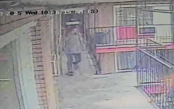 Screenshot of video showing the person who left the kittens.