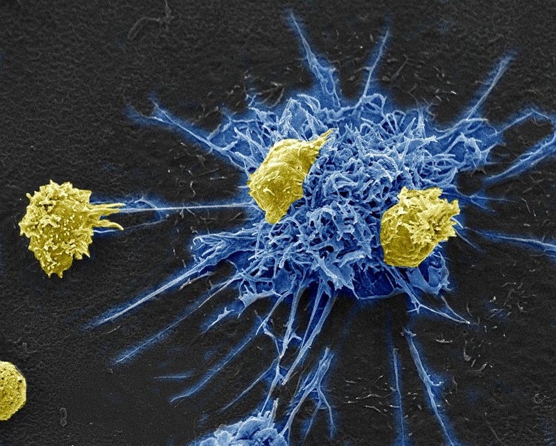 MDC1 (blue) signaling to T helper cells (yellow) that harbor latent HIV