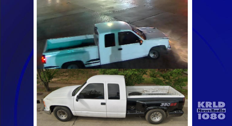 Suspect vehicle in fatal hit and run