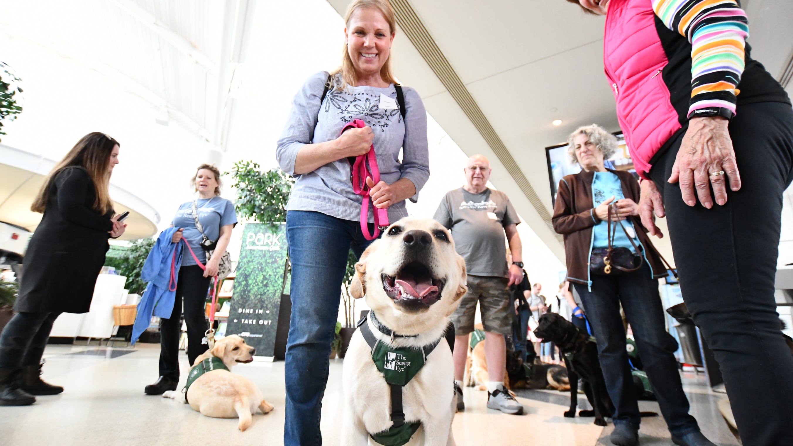 PICS: 170 puppies pack Newark Airport for guide dog training