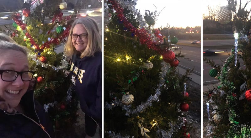 I-270 tree