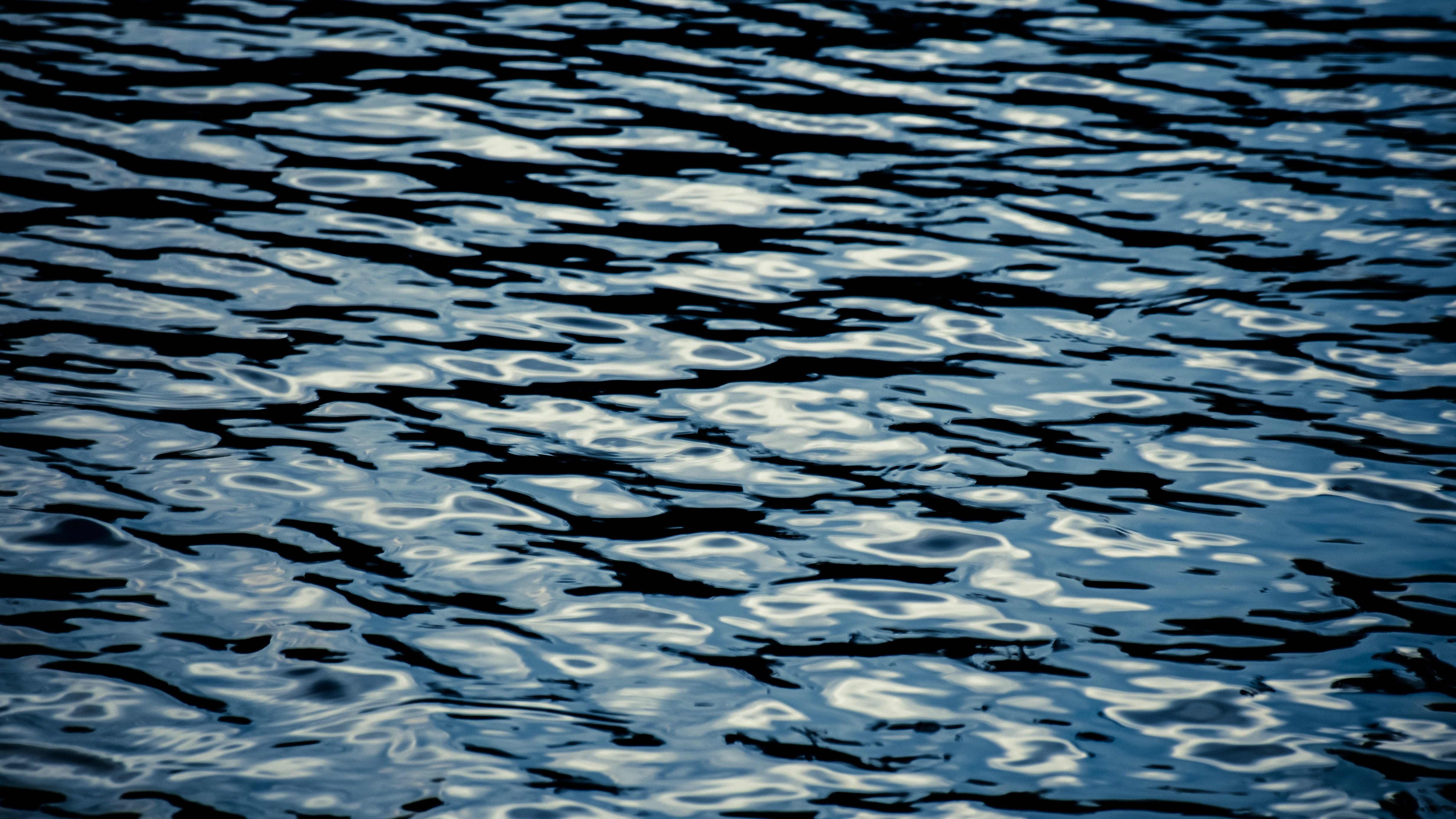 Man dies after trying to swim across west suburban lake, police say