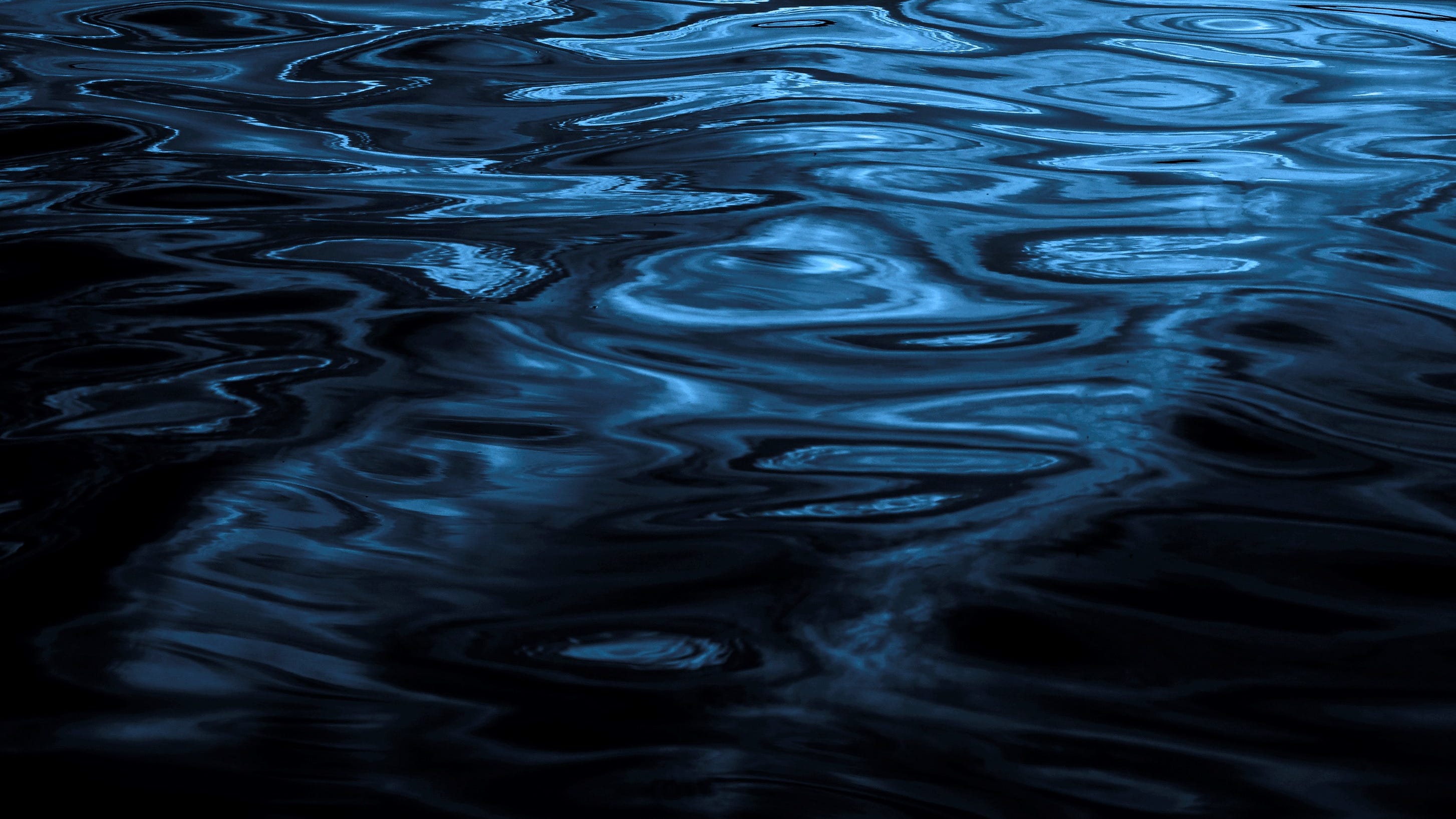 Body pulled from lake in Lincoln Park: police