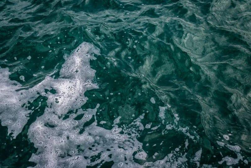 Waves of Lake Michigan