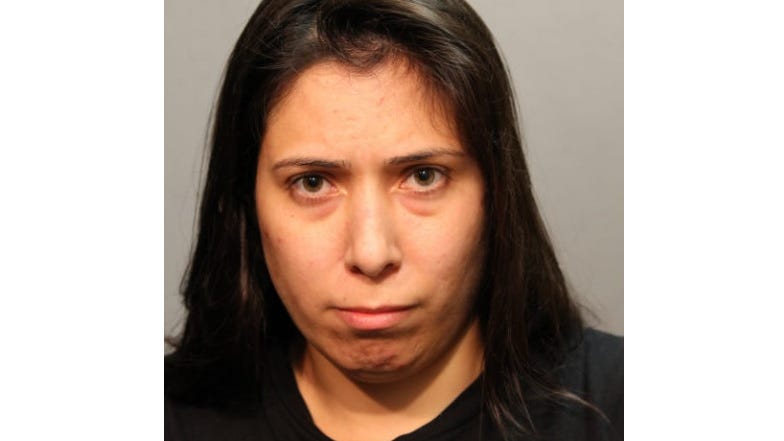 Aunt charged with attempted murder, accused of pushing 3-year-old nephew into Lake Michigan near Navy Pier