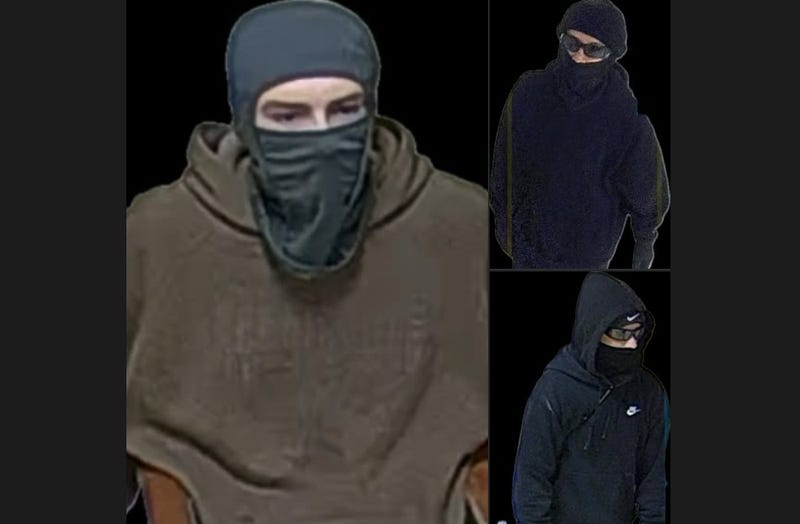 Suspects in Lakeview High School vandalism