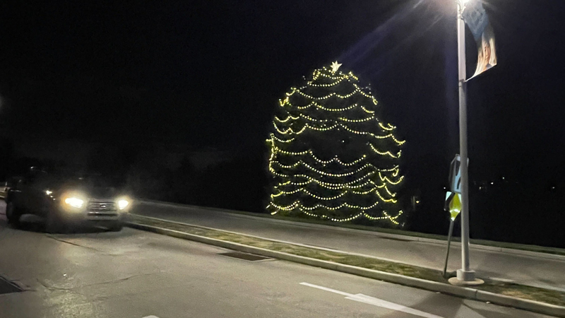 The Tree of Life pictured outside Lankenau Medical Center on Nov. 28, 2022.