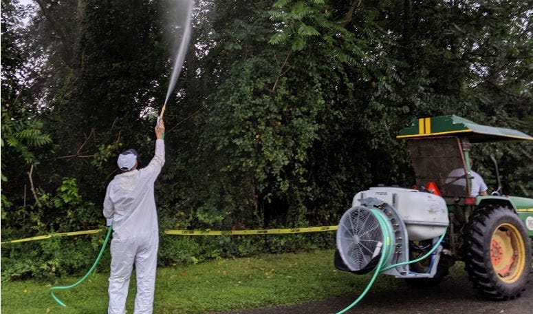 Lanternfly spraying