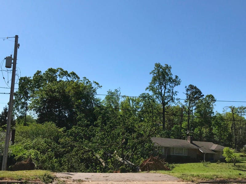 Large Trees Downed on Wade Hampton Blvd