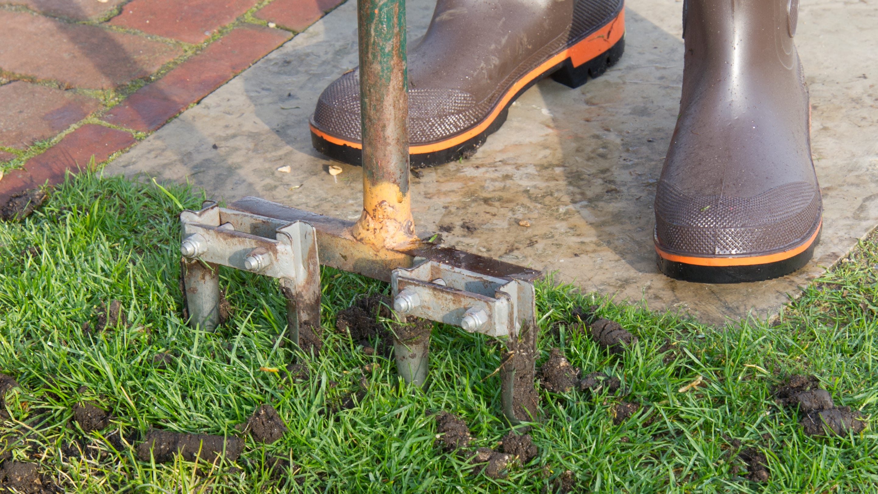LISTEN: What time of year should you care for your lawn? The fall!