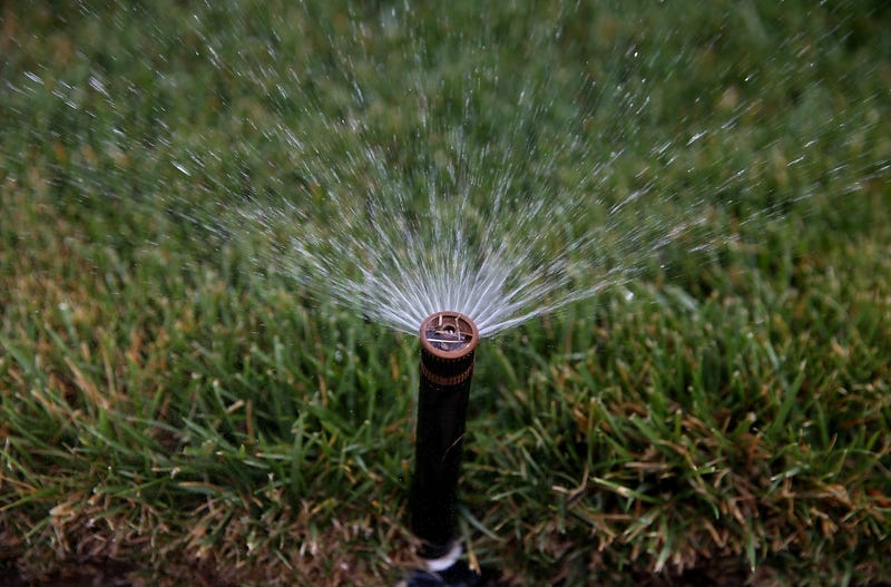 A sprinkler waters some grass