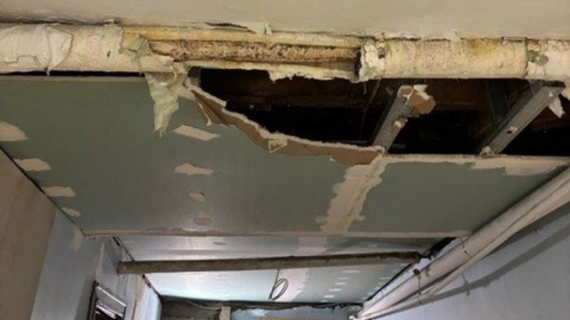 tenants sue landlord over dangerous conditions, illegal rent collection