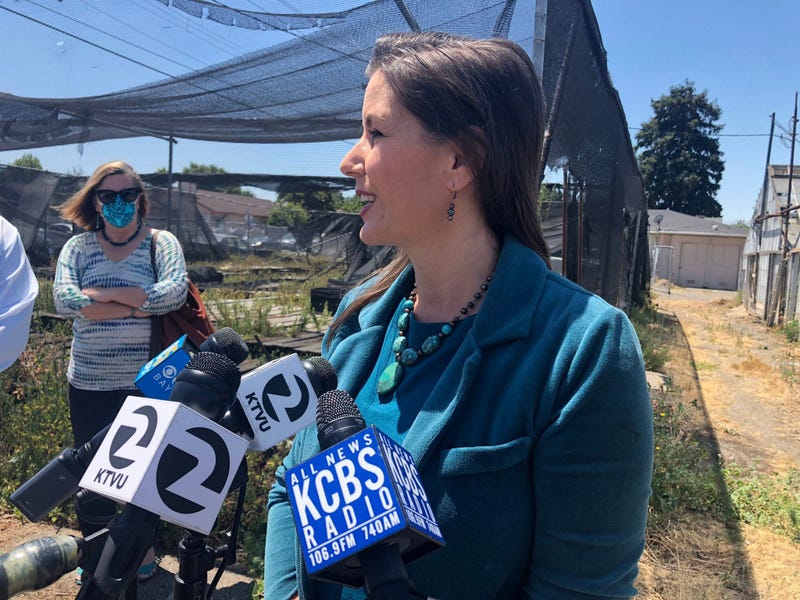 Oakland Mayor Libby Schaaf responds to comments about her city by President Donald Trump.