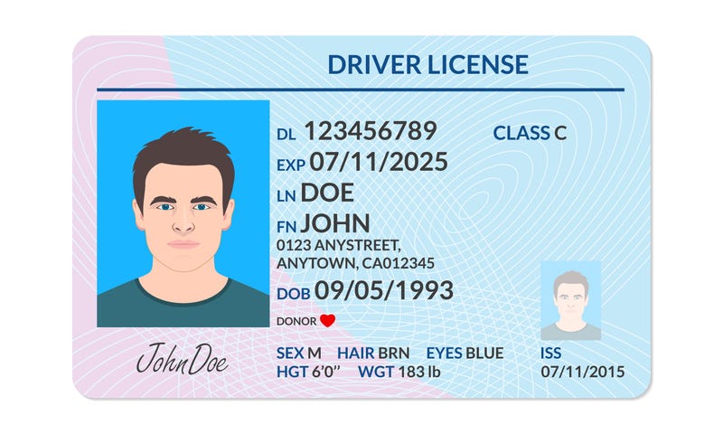 Driver license with male photo