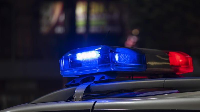 Police car emergency light - stock photo