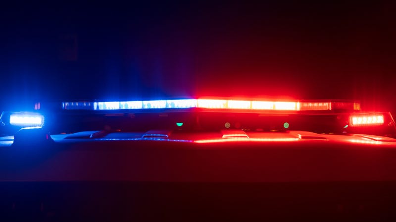 Police car lights - stock photo