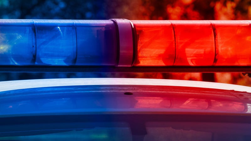 Blue and red light siren flasher on top of police car - stock photo