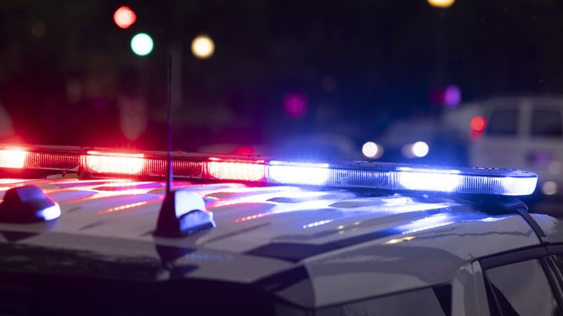 Police lights - stock photo