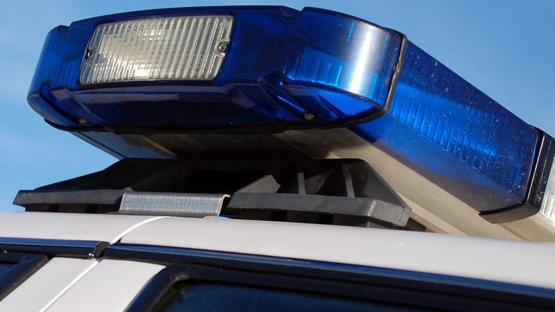 Police Lights - stock photo