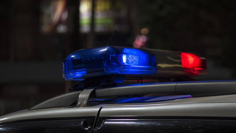 Police lights at night - stock photo