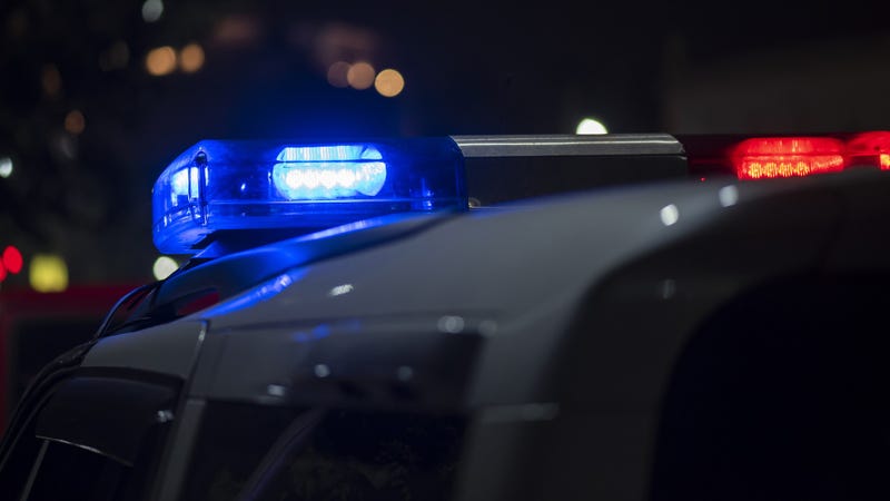 Police car emergency light - stock photo
