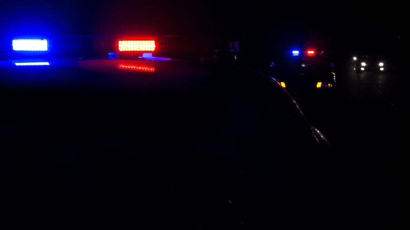 Police lights - stock photo