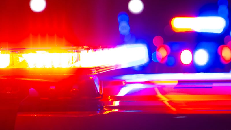 Generic police lights - stock photo