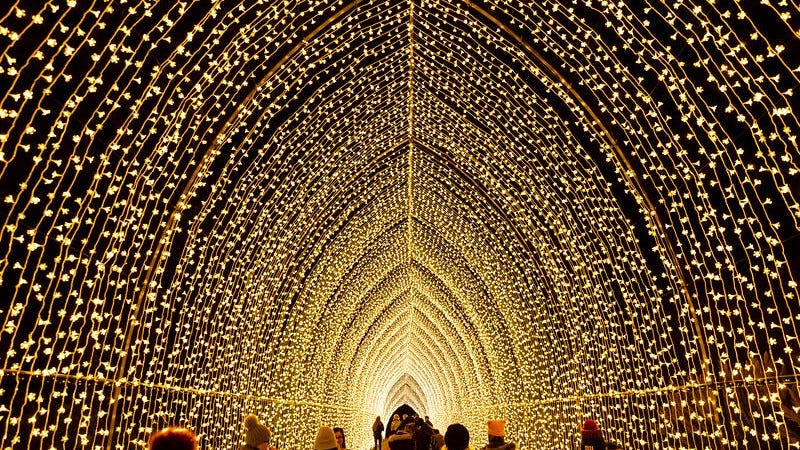 'Lightscape' Returns To Botanic Garden, With Capacity Limits