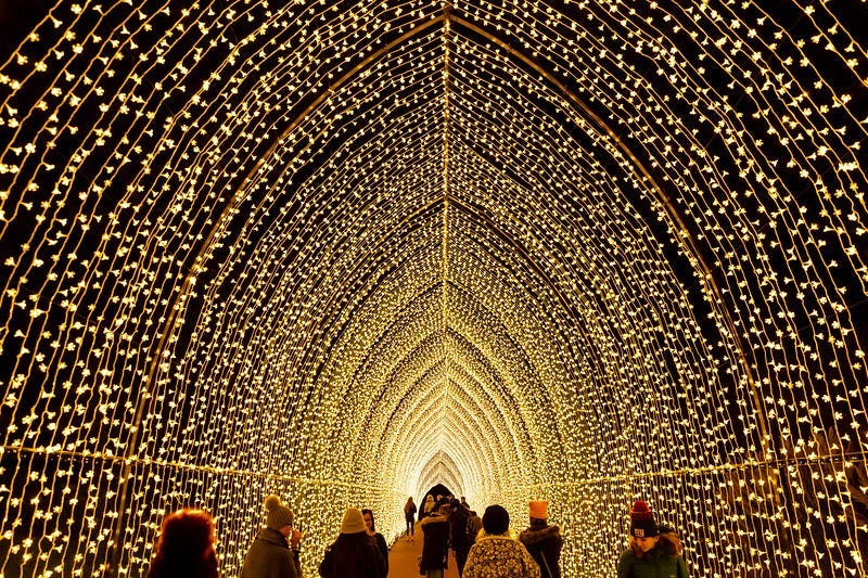 Lightscape at The Chicago Botanic Garden