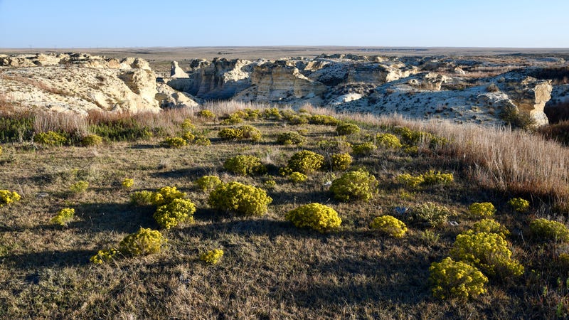 Mix of tallgrass and shortgrass prairie at Little Jerusalem Badlands
