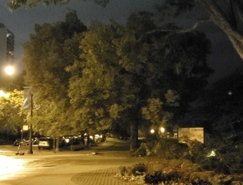 Lincoln Park in Chicago at night