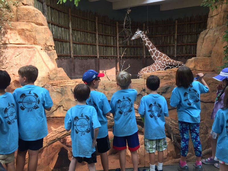 Lincoln Park Zoo Summer Camps
