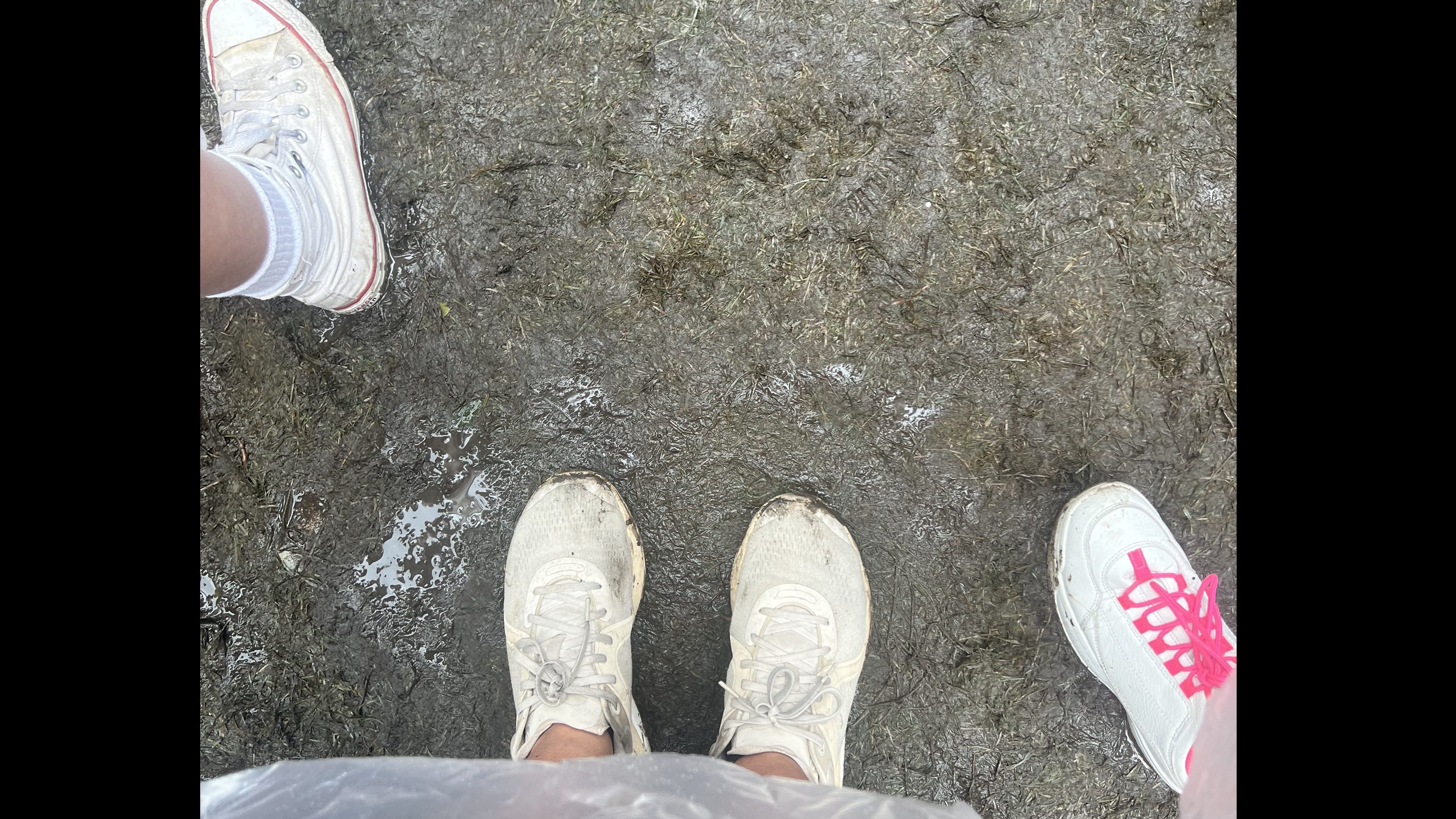 Lollapalooza 2023: What mud? Soggy conditions didn't bother attendees