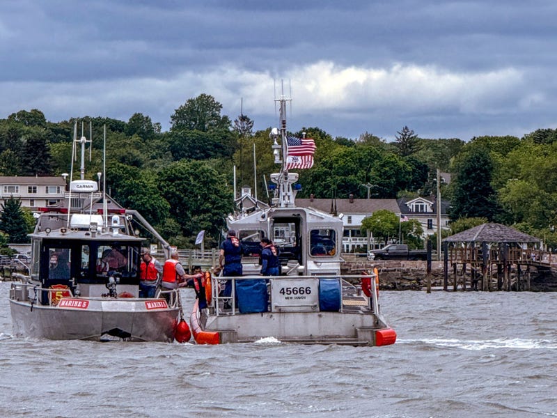 In this photo provided by the Branford Fire Department, Branford firefighters and the Coast Guard respond to a plane crash in the Long Island Sound, on Sunday, June 1, 2025, off the coast of Branford, Conn.