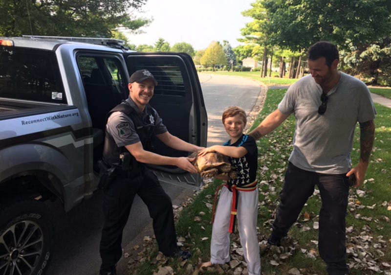 A pet tortoise that was lost in Hammel Woods was successfully reunited with its Shorewood family after a Forest Preserve District of Will County police officer helped solve the missing reptile case.
