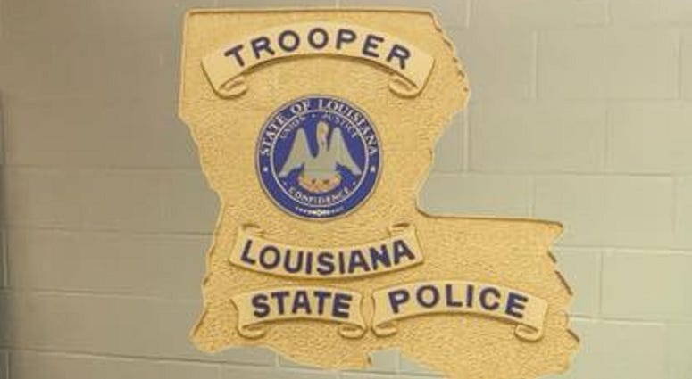 Vehicle misses curve, hits tree and catches fire