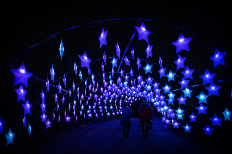 holiday lights